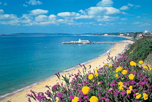 英语 in Bournemouth